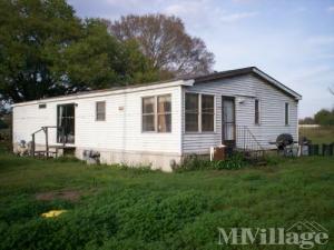Photo of El Camba, Lakeland, FL